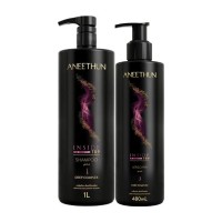 Aneethun Kit Profissional 2 un