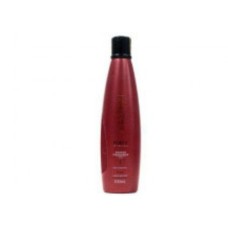 Aneethun Shampoo Fortalecedor Force 300ml